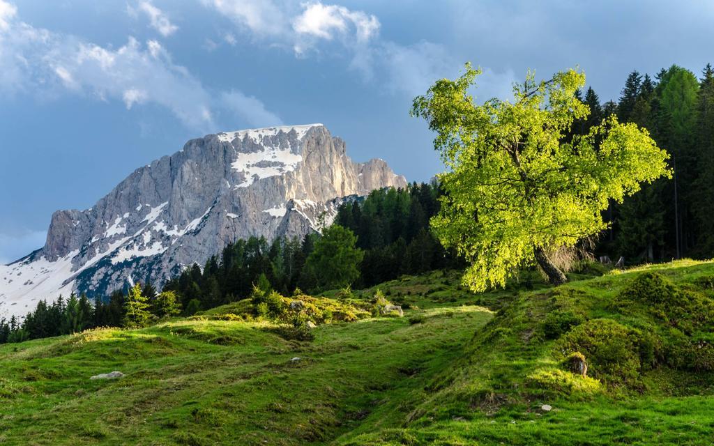 Schoenauerhof Schlanitzen Exteriér fotografie