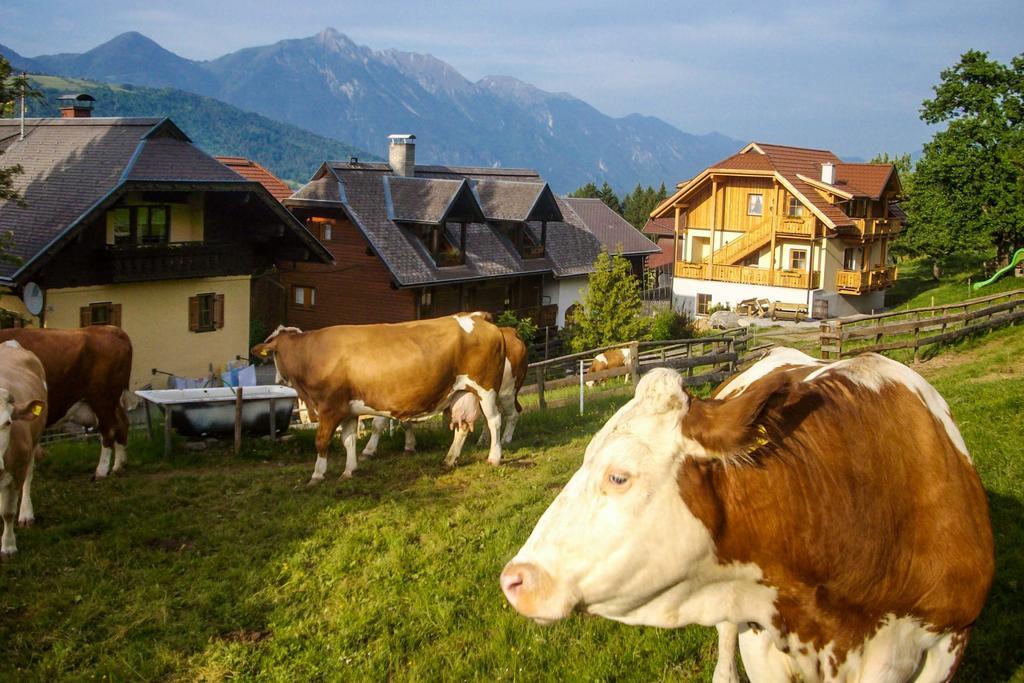 Schoenauerhof Schlanitzen Exteriér fotografie